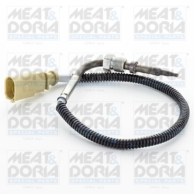 Sensor, exhaust gas temperature
